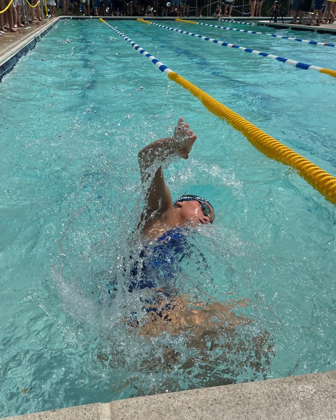 Ruby swimming in a pool.