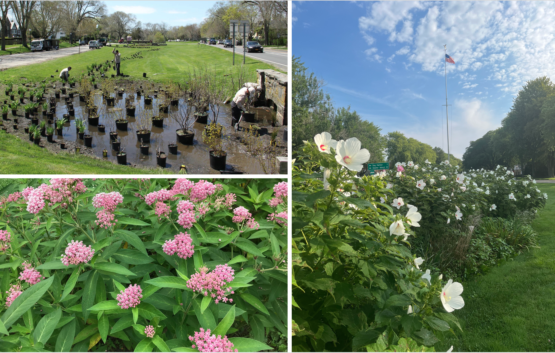 Screenshot 2024-05-15 at 9.11.09 AM