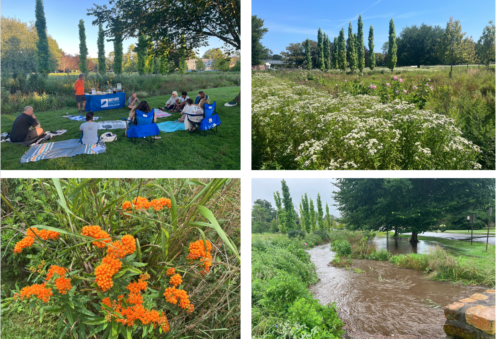 Screenshot 2024-05-15 at 9.17.19 AM