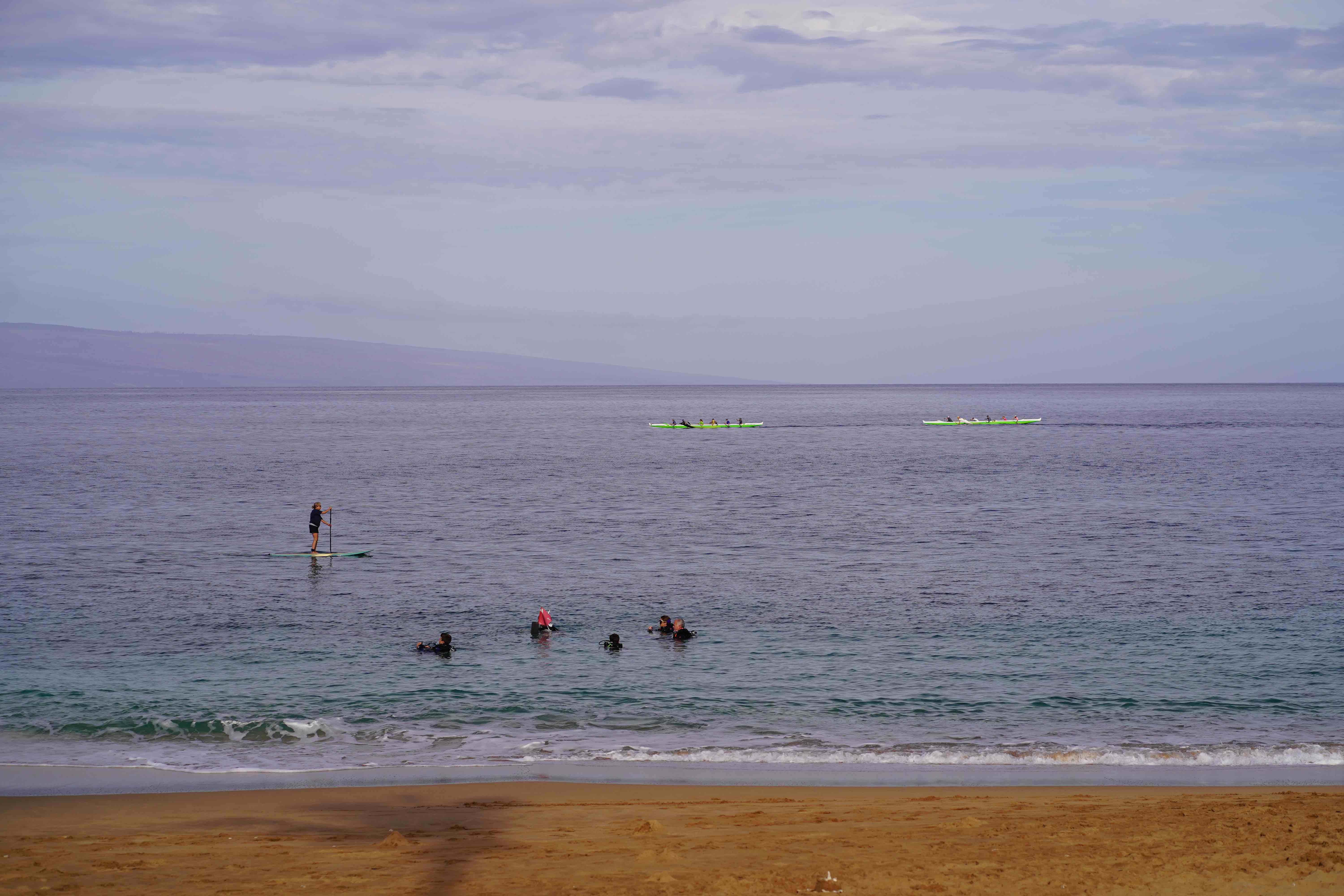 Protect West Maui Coral Reefs and Community Water Resources