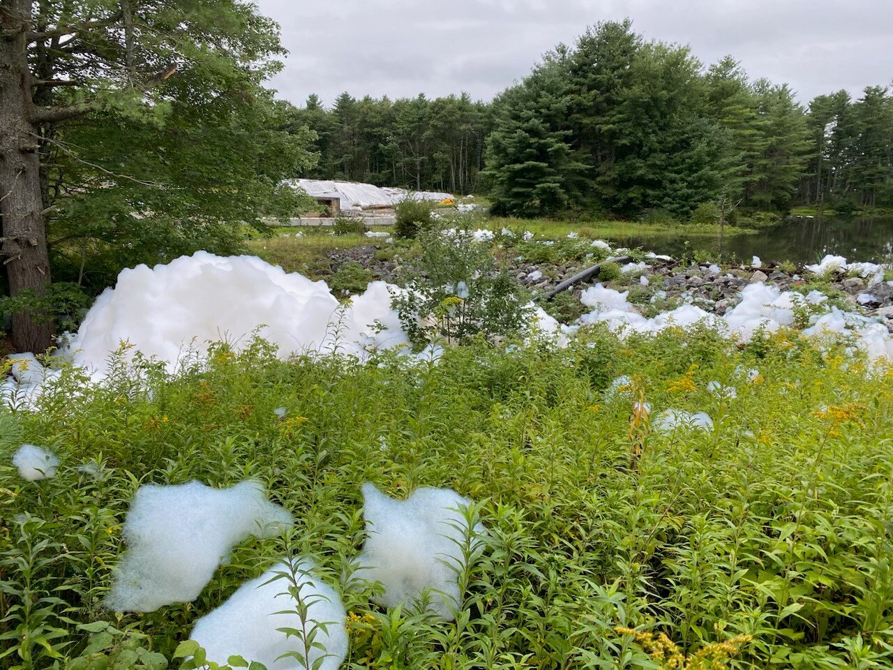 Eliminate Aqueous Film-Forming Foam (AFFF) in Maine!