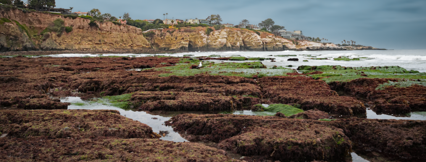 Coastal Access in La Jolla